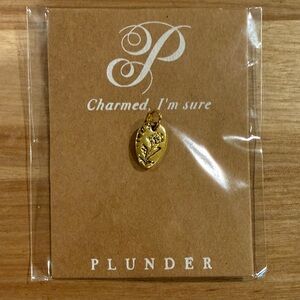 Plunder Gold Charm
